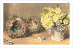 Spring Flowers and Birds' Nests, c.1830 by William Henry Hunt