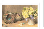 Spring Flowers and Birds' Nests, c.1830 by William Henry Hunt
