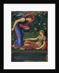 Cupid and Psyche, 1865-87 by Edward Coley Burne-Jones