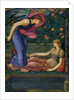 Cupid and Psyche, 1865-87 by Edward Coley Burne-Jones