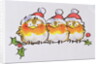 Christmas Robins by Diane Matthes