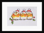 Christmas Robins by Diane Matthes