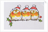 Christmas Robins by Diane Matthes