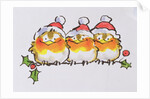 Christmas Robins by Diane Matthes