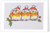 Christmas Robins by Diane Matthes