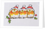 Christmas Robins by Diane Matthes