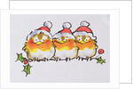 Christmas Robins by Diane Matthes