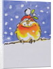 Christmas Robin by Diane Matthes