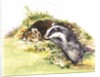 Badger and a Rabbit by Diane Matthes