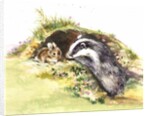 Badger and a Rabbit by Diane Matthes