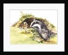 Badger and a Rabbit by Diane Matthes