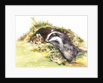 Badger and a Rabbit by Diane Matthes