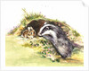 Badger and a Rabbit by Diane Matthes