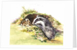 Badger and a Rabbit by Diane Matthes