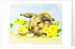 Easter bunny with primrose and chick by Diane Matthes