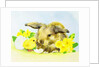 Easter bunny with primrose and chick by Diane Matthes