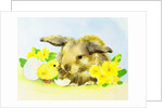 Easter bunny with primrose and chick by Diane Matthes