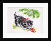 Christmas Kitten by Diane Matthes