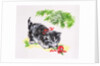 Christmas Kitten by Diane Matthes