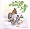 Donkeys by Diane Matthes