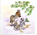Donkeys by Diane Matthes