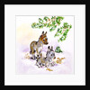 Donkeys by Diane Matthes