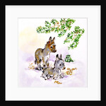Donkeys by Diane Matthes