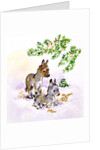 Donkeys by Diane Matthes