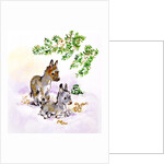 Donkeys by Diane Matthes
