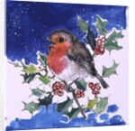 Robin Red-breast, 1996 by Diane Matthes
