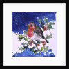 Robin Red-breast, 1996 by Diane Matthes