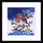 Robin Red-breast, 1996 by Diane Matthes