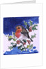 Robin Red-breast, 1996 by Diane Matthes