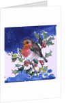 Robin Red-breast, 1996 by Diane Matthes