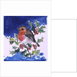 Robin Red-breast, 1996 by Diane Matthes