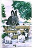 Farmyard Friends, 1996 by Diane Matthes