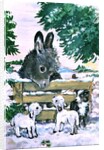 Farmyard Friends, 1996 by Diane Matthes