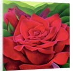 The Rose, 2003 by Myung-Bo Sim