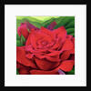 The Rose, 2003 by Myung-Bo Sim