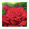 The Rose, 2003 by Myung-Bo Sim