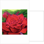 The Rose, 2003 by Myung-Bo Sim