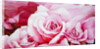 The Roses, 2003 by Myung-Bo Sim
