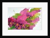 Violets, 1995 by Myung-Bo Sim