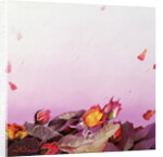 The Roses, 2002 by Myung-Bo Sim