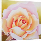 The Rose, 2002 by Myung-Bo Sim