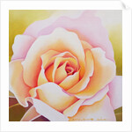 The Rose, 2002 by Myung-Bo Sim