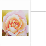 The Rose, 2002 by Myung-Bo Sim