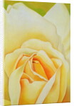 The Rose, 1995 by Myung-Bo Sim