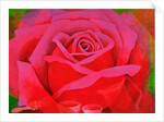 The Rose, 1995 by Myung-Bo Sim