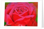The Rose, 1995 by Myung-Bo Sim